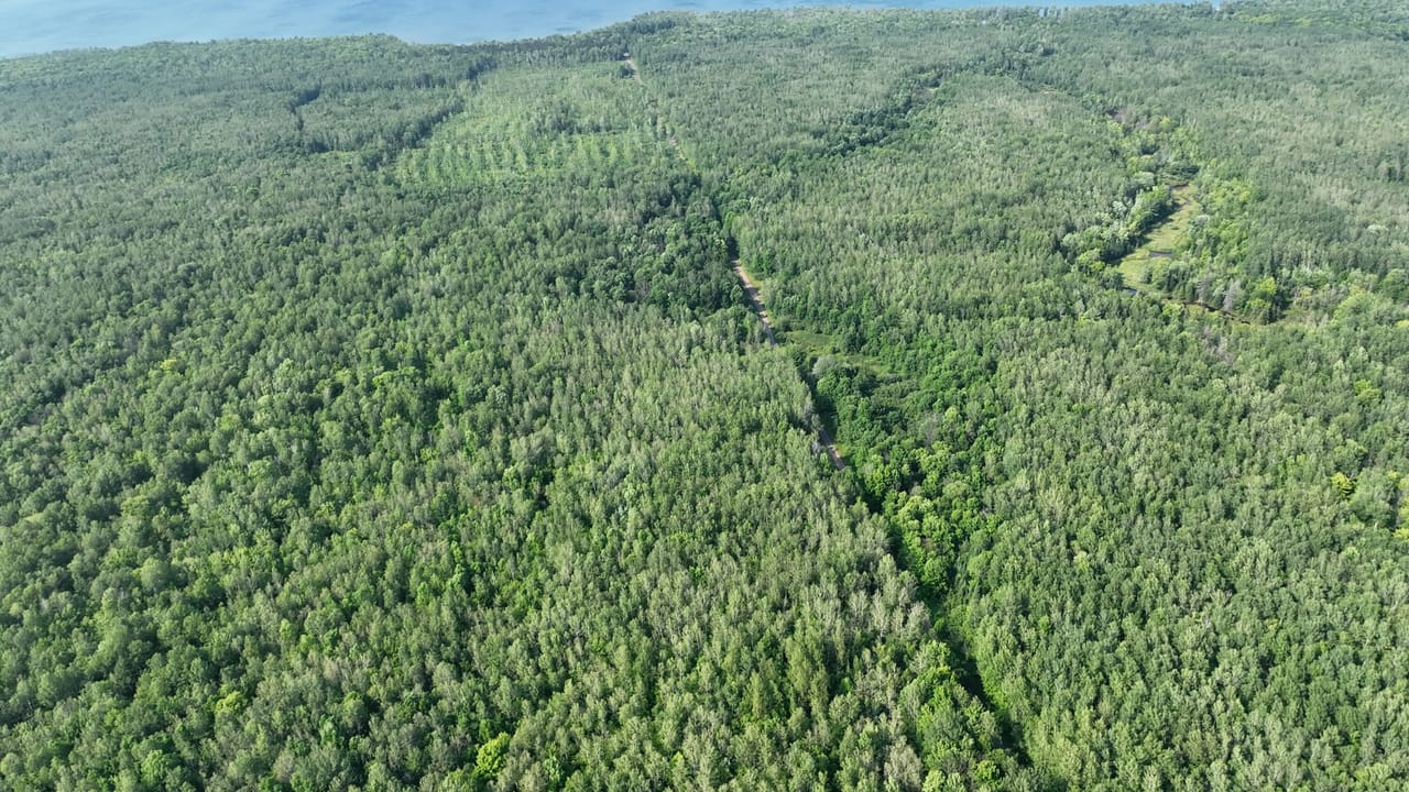 Listing Image 69
