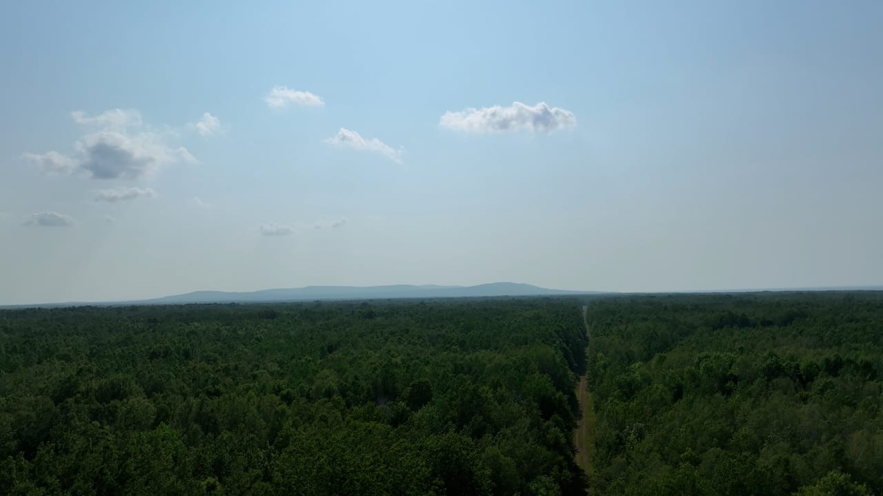 Listing Image 74