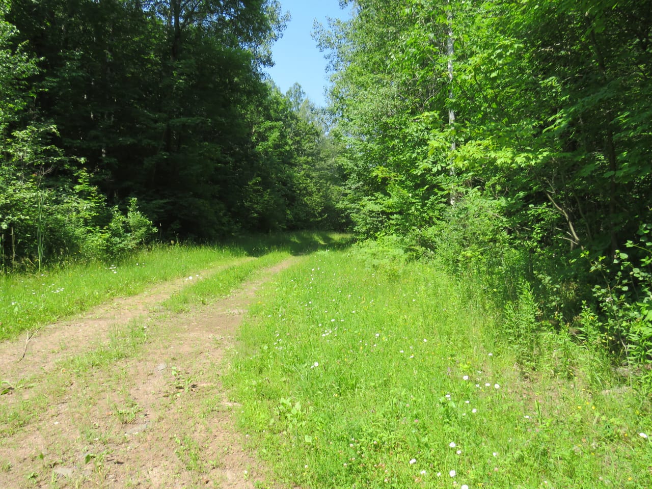 Listing Image 75