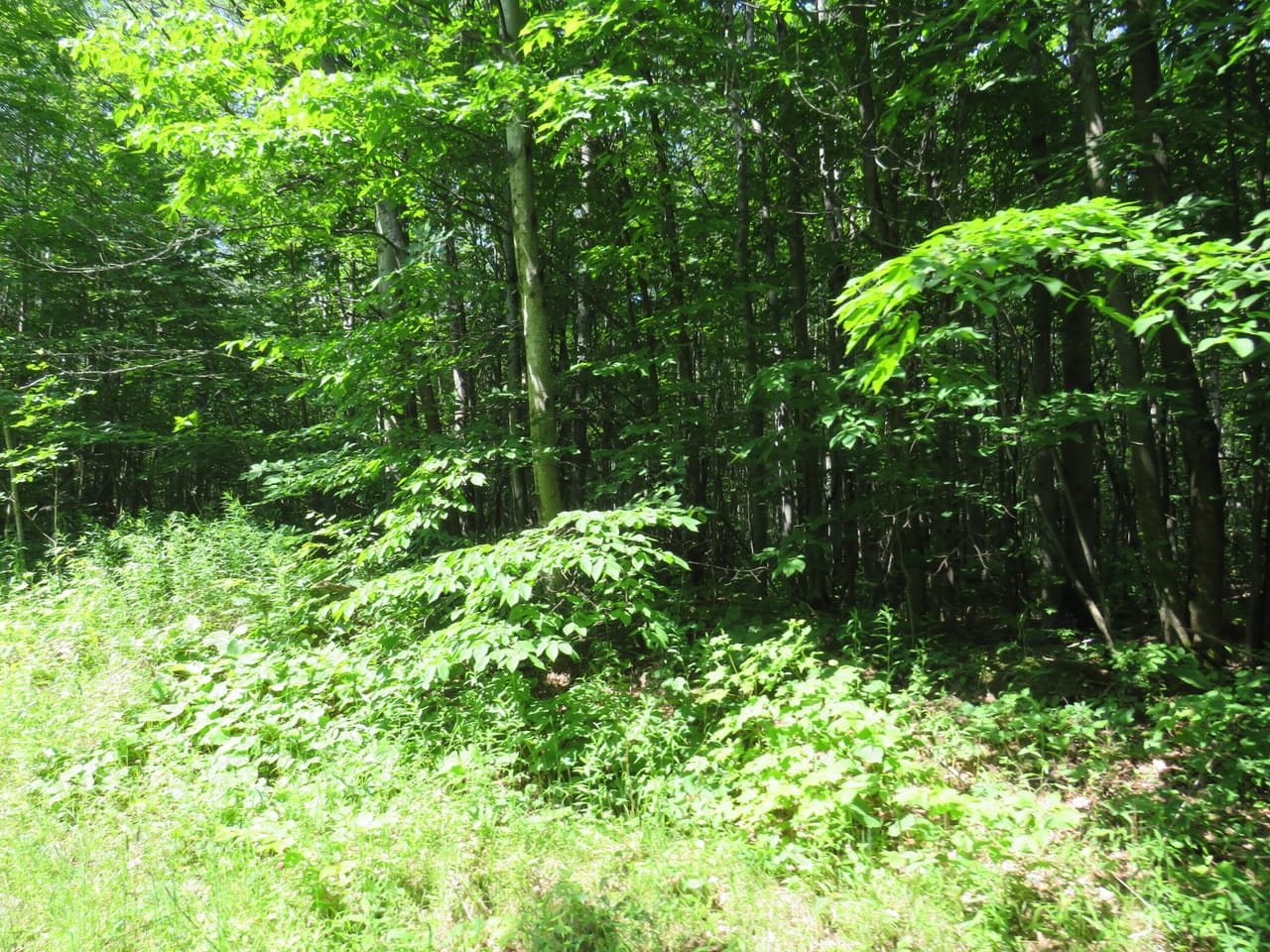 Listing Image 43