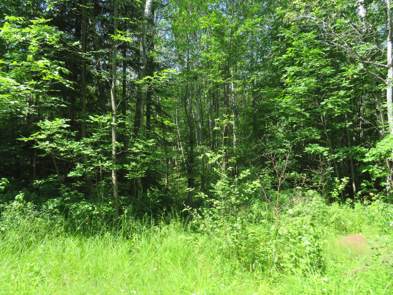 Listing Image 47