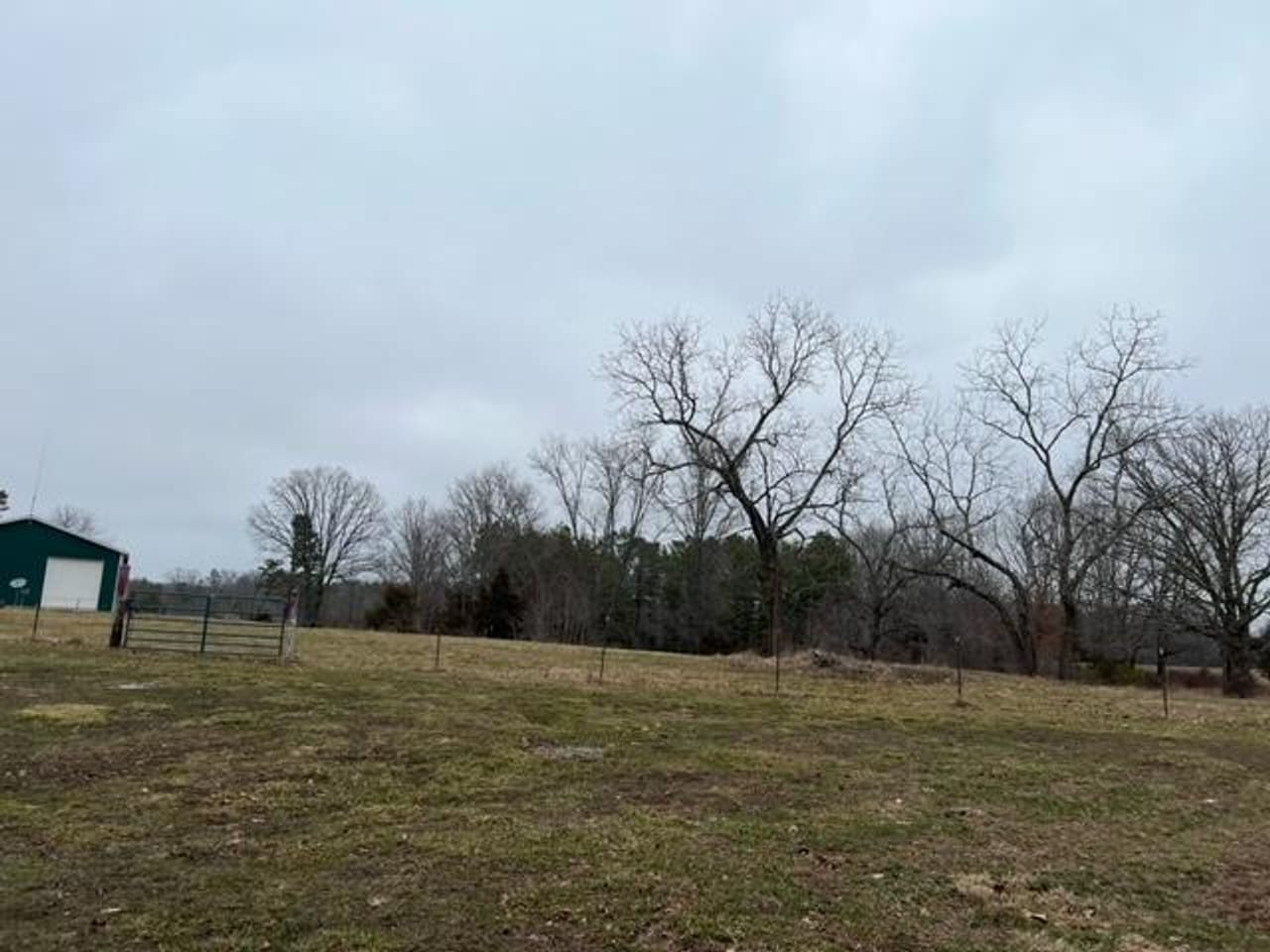 Listing Image 13