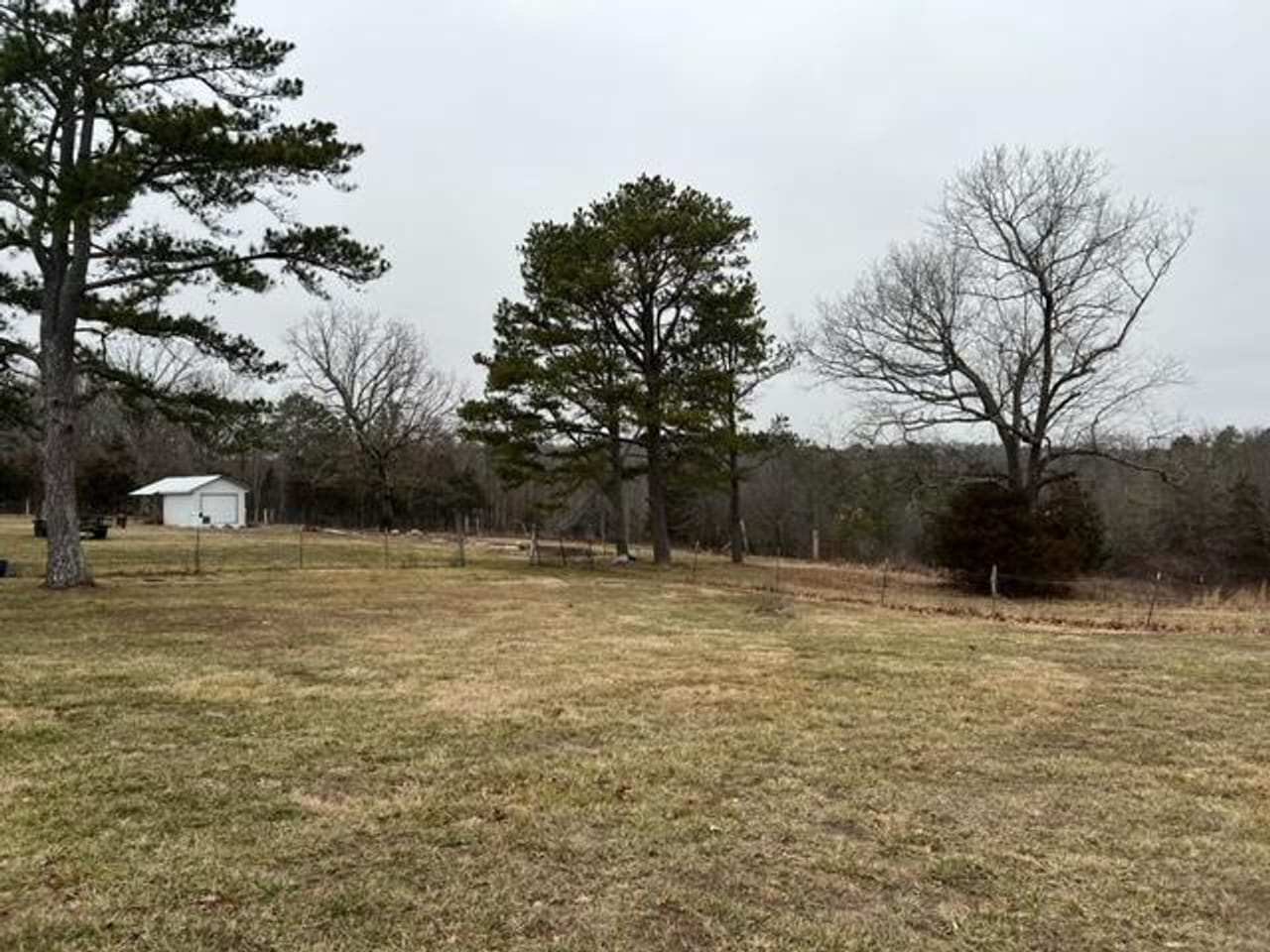 Listing Image 6