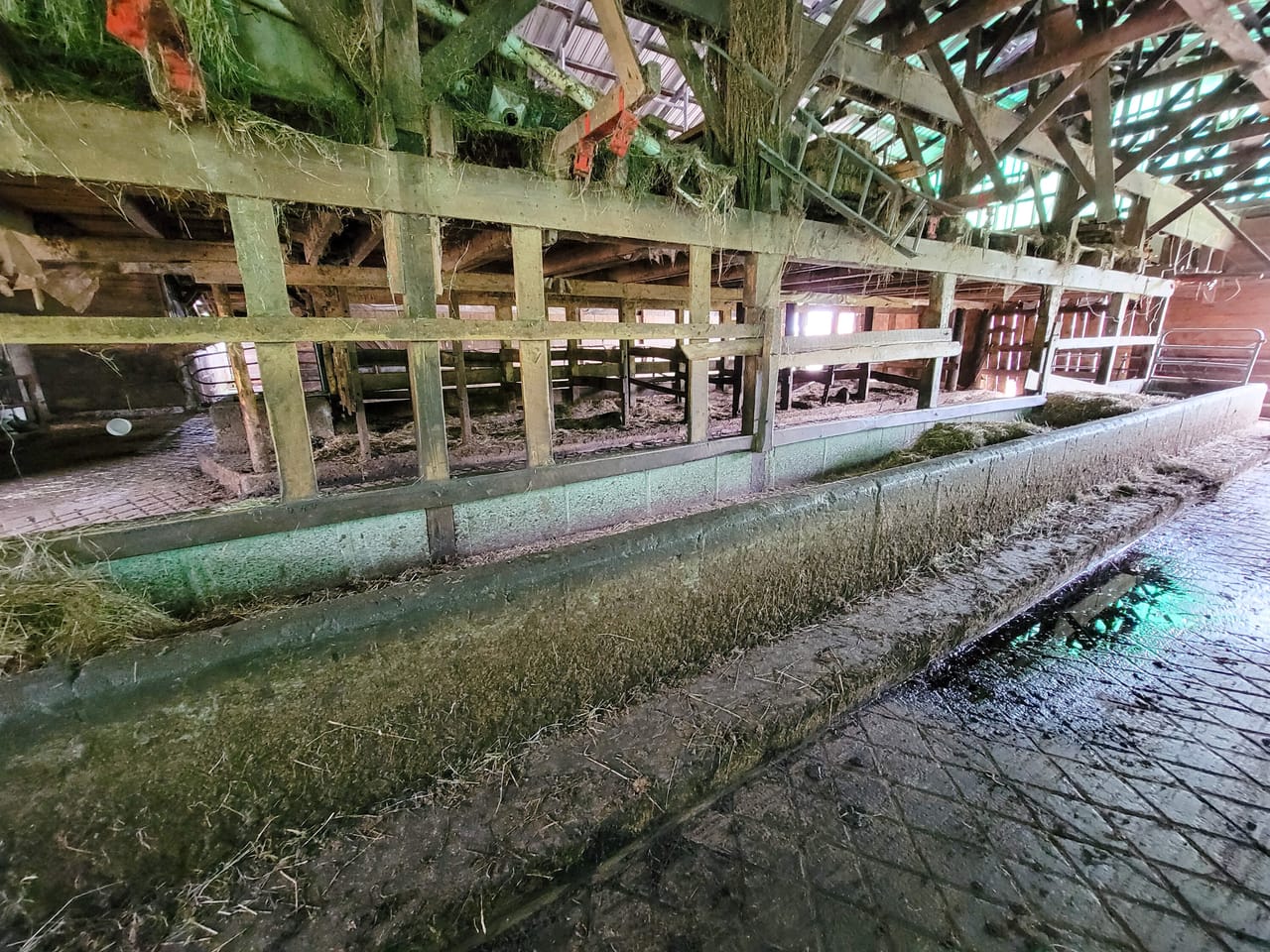 Listing Image 55