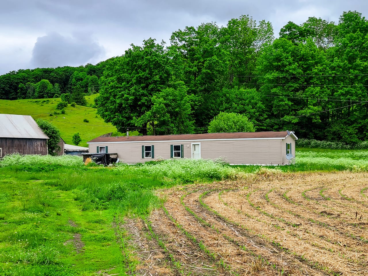 Listing Image 61