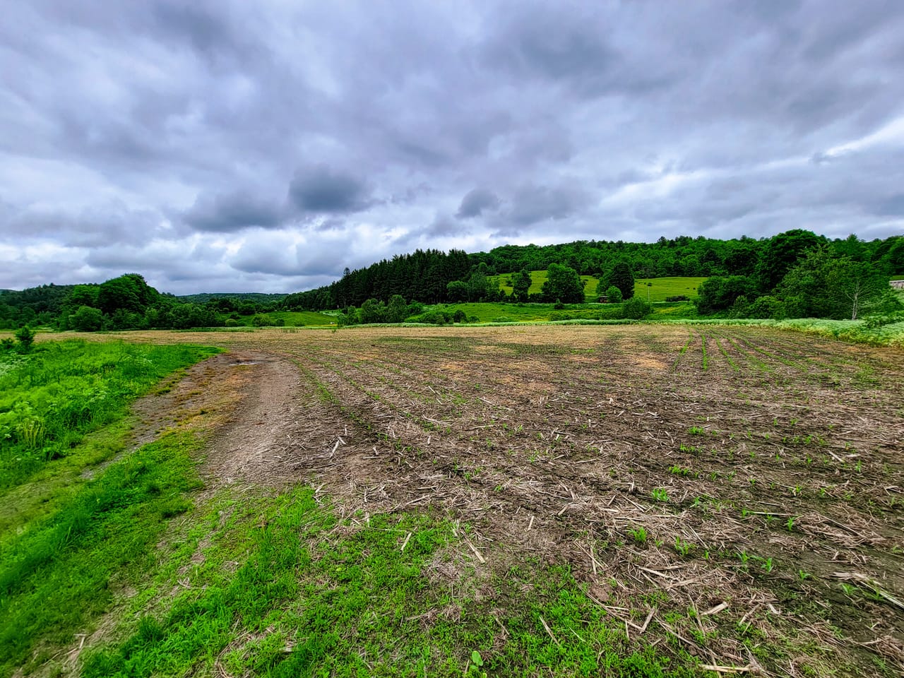 Listing Image 70