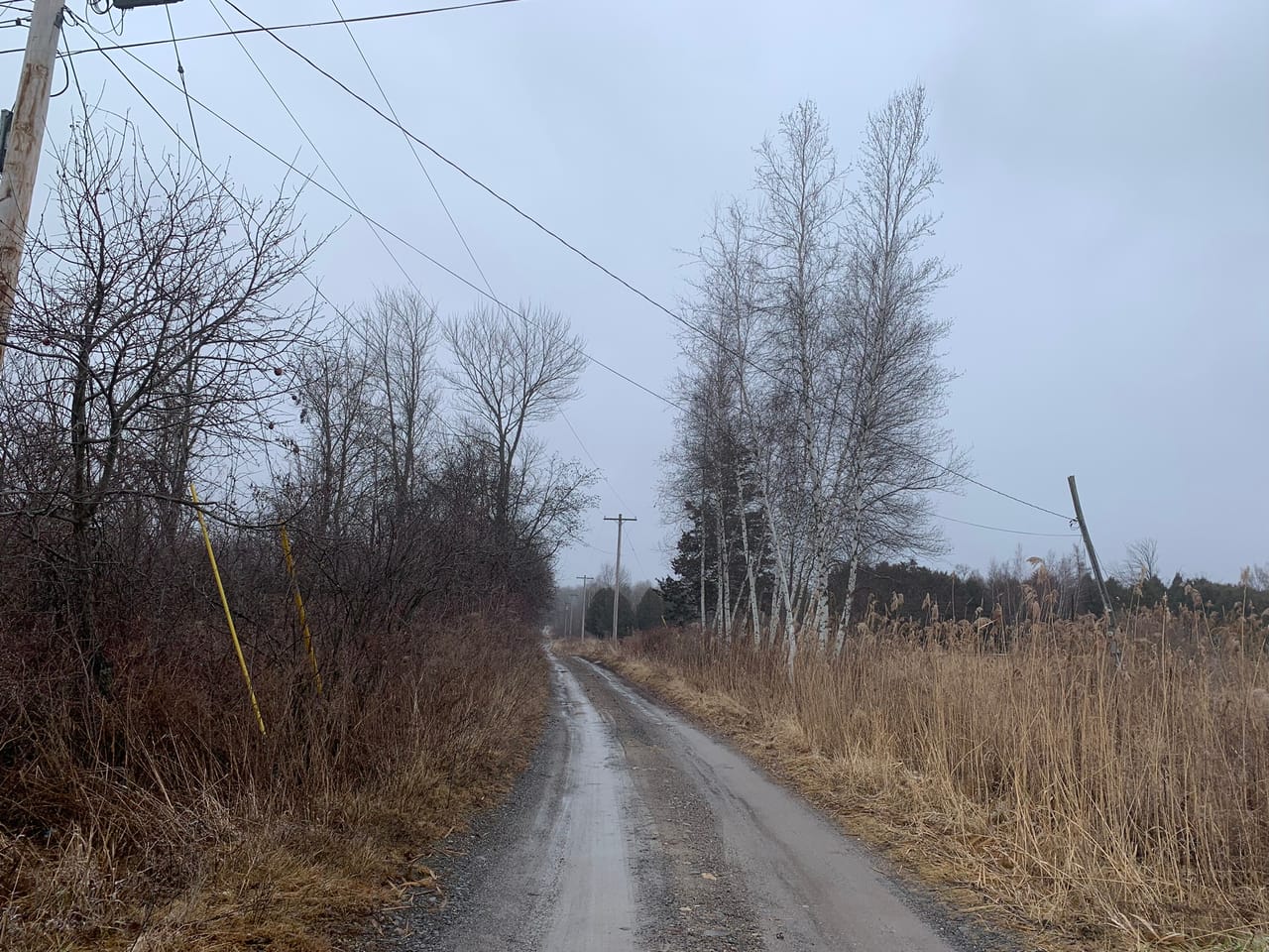 Listing Image 53