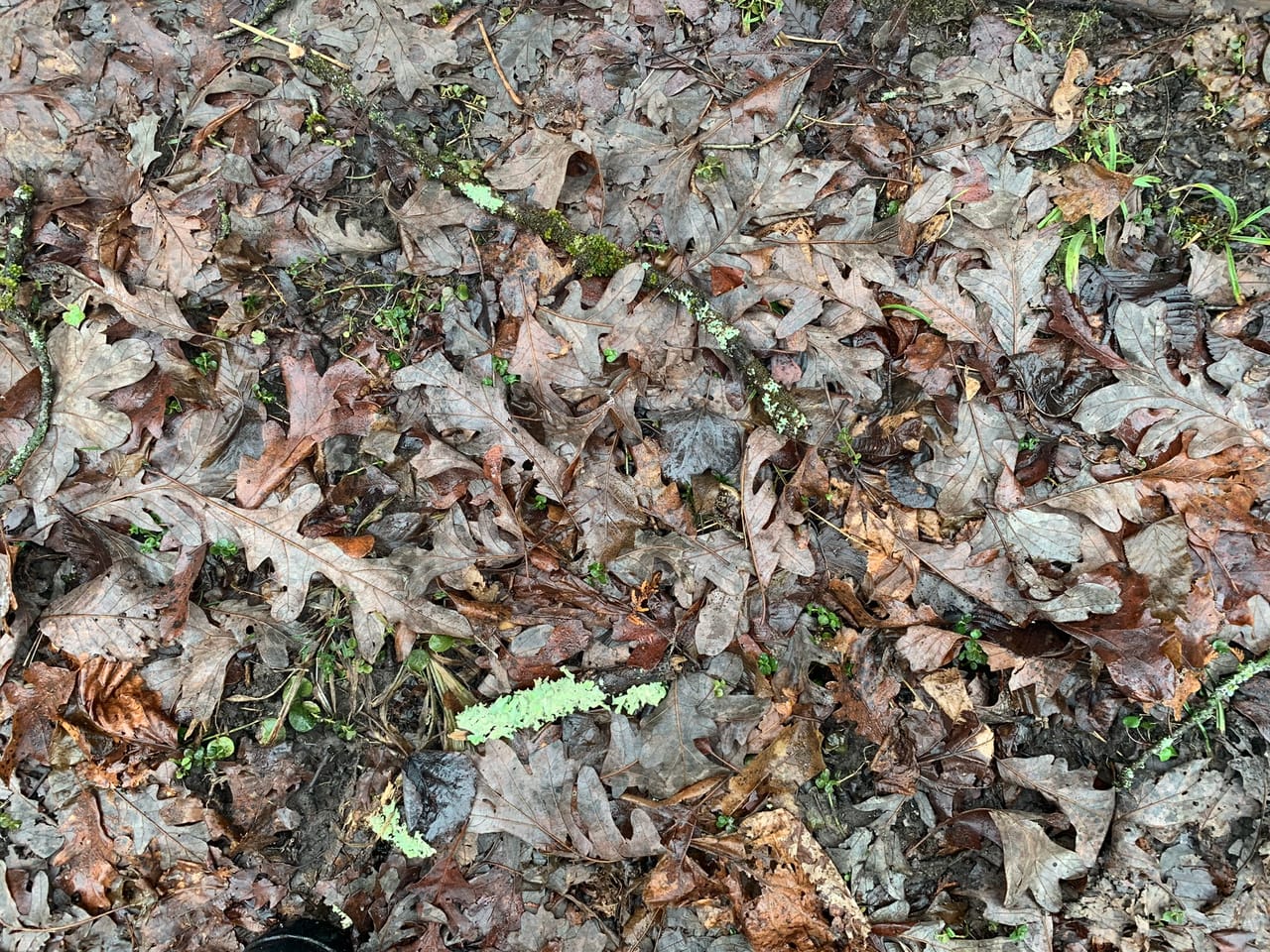 Listing Image 76