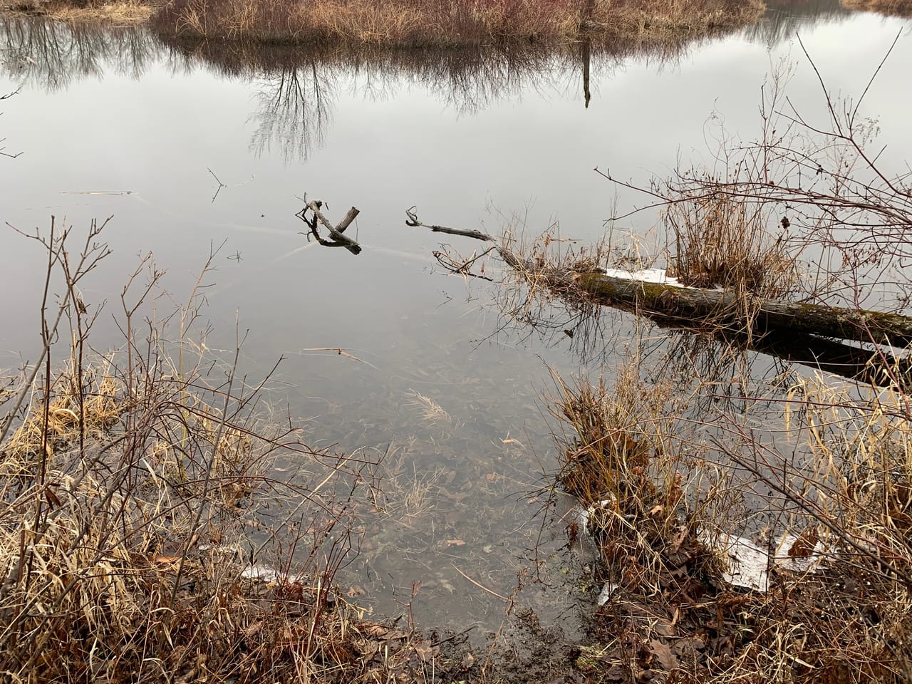 Listing Image 80