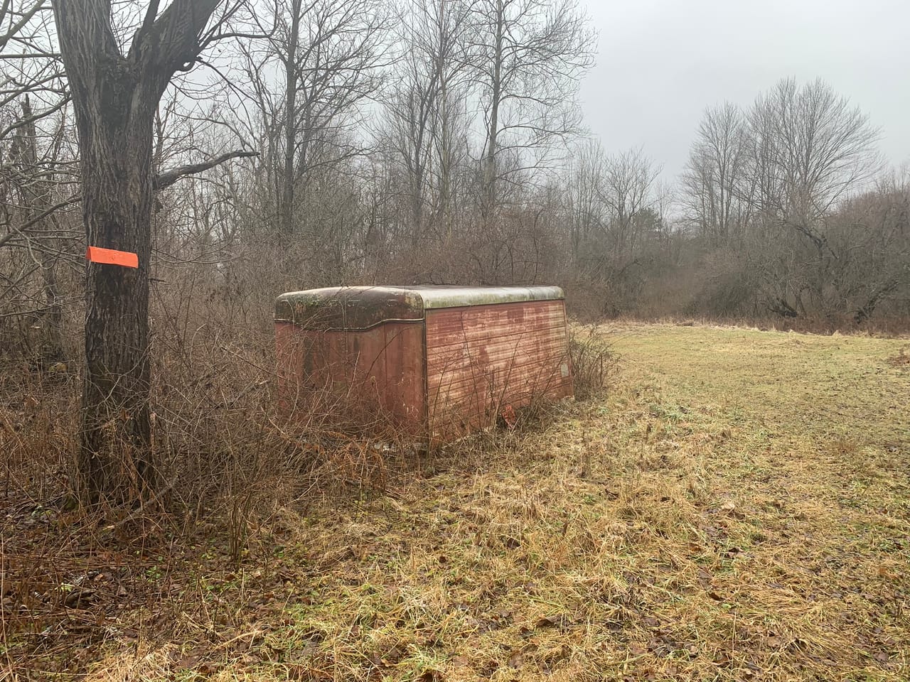 Listing Image 30