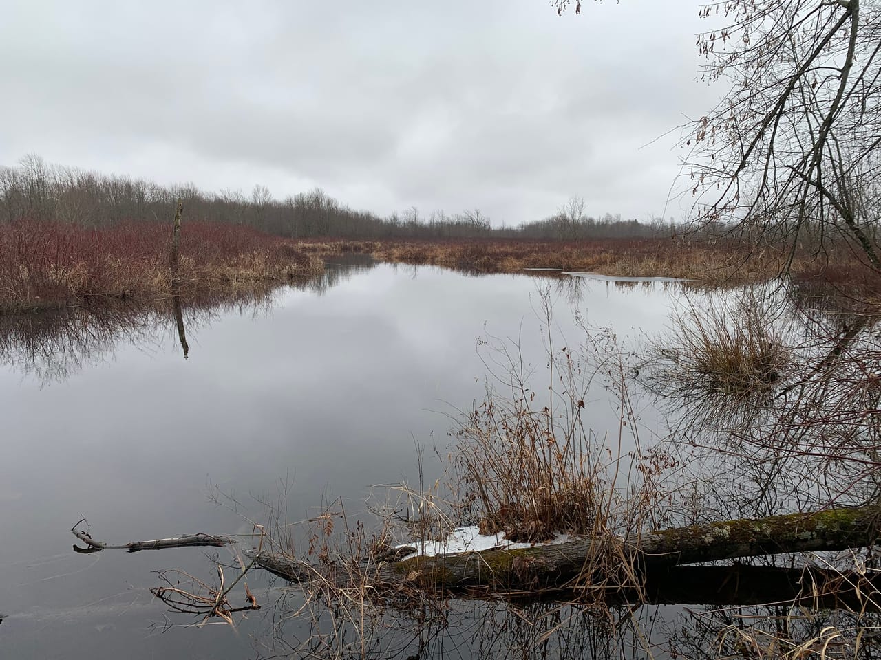 Listing Image 60