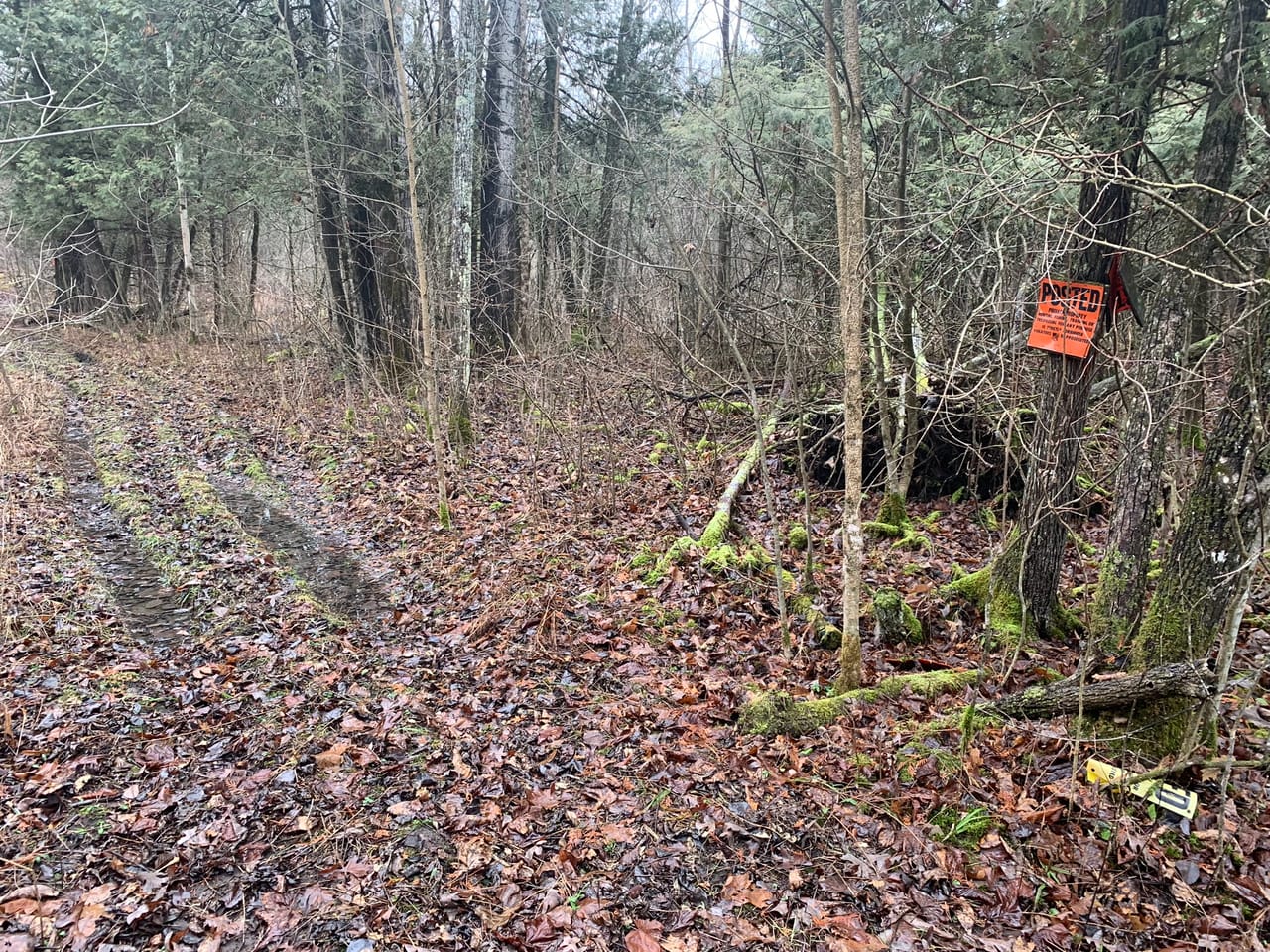 Listing Image 14
