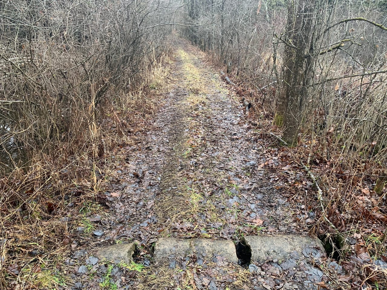 Listing Image 17