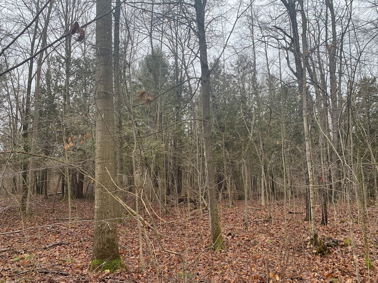 Listing Image 29