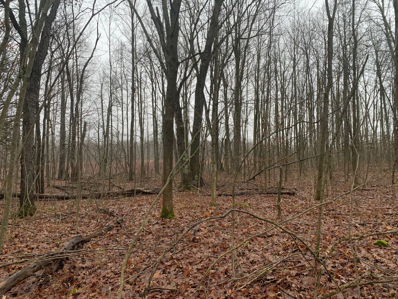 Listing Image 31