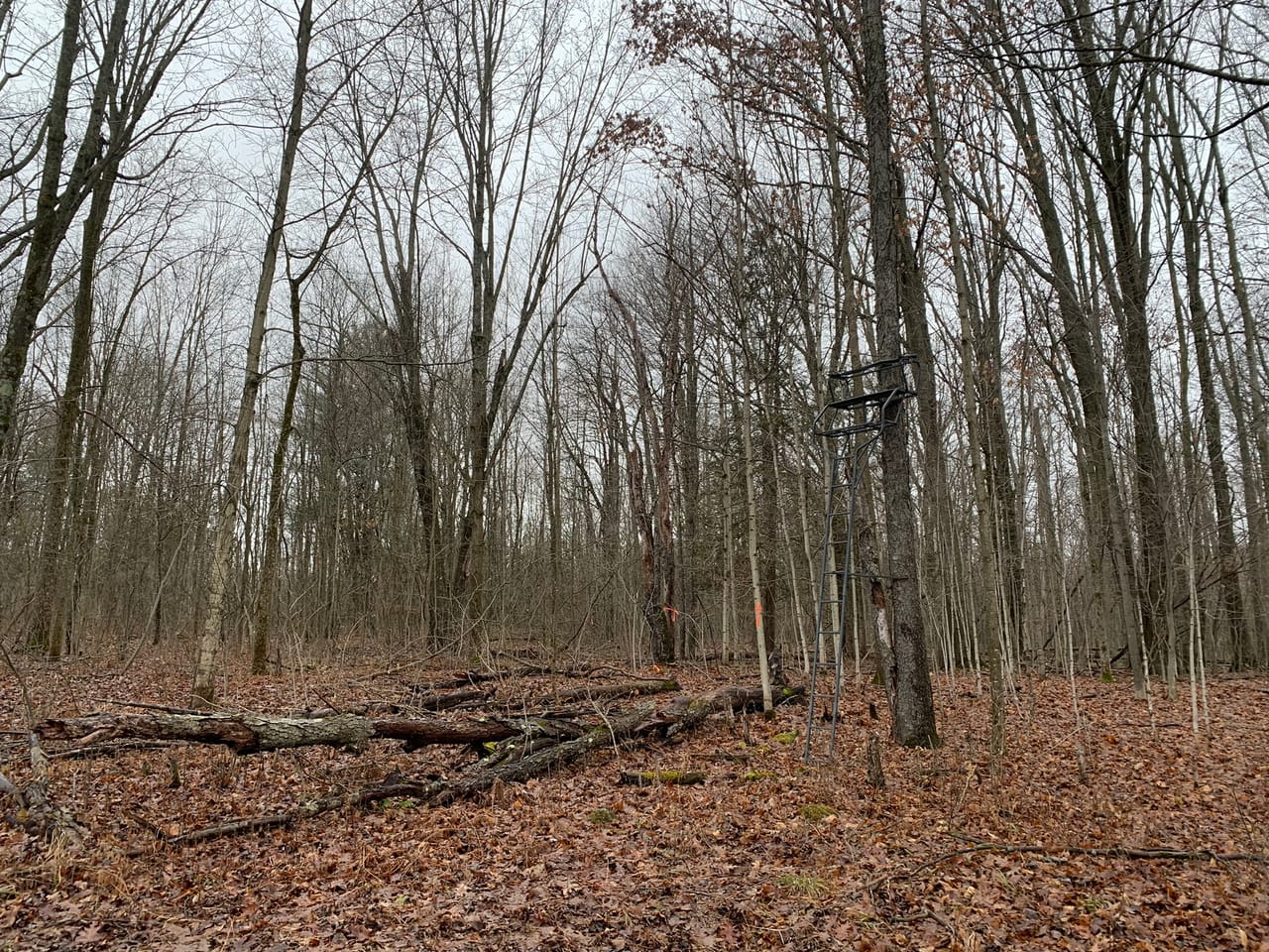Listing Image 42