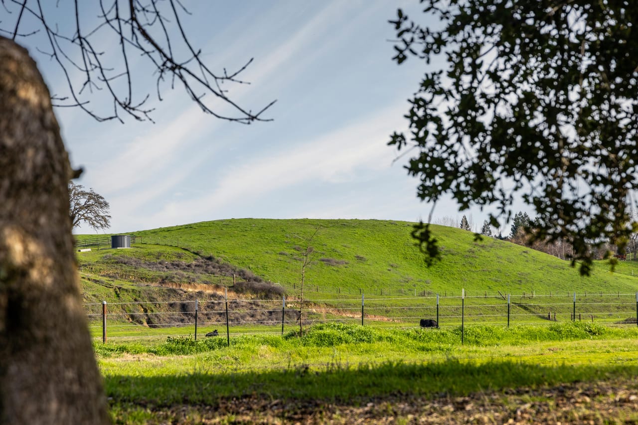 McIntire Ranch
