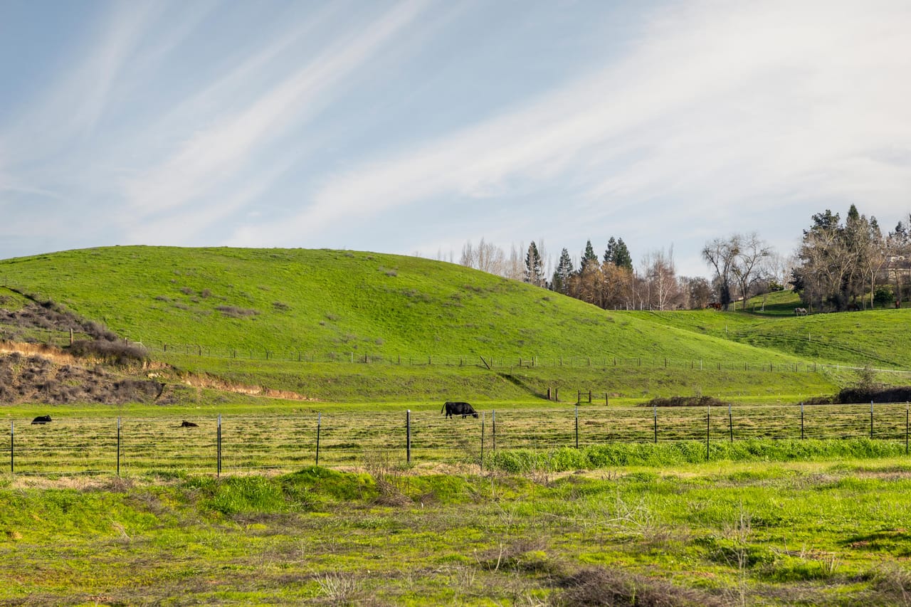 McIntire Ranch