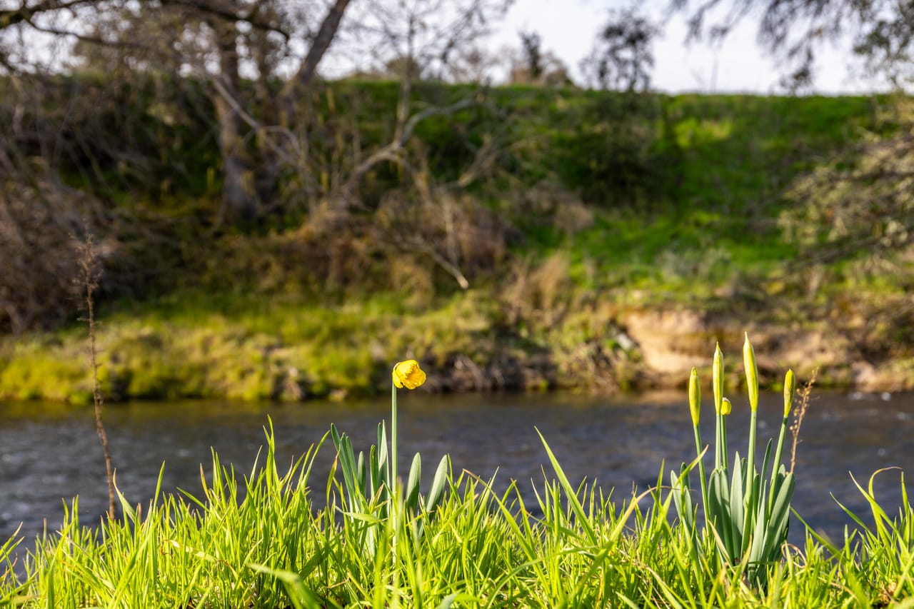 McIntire Ranch
