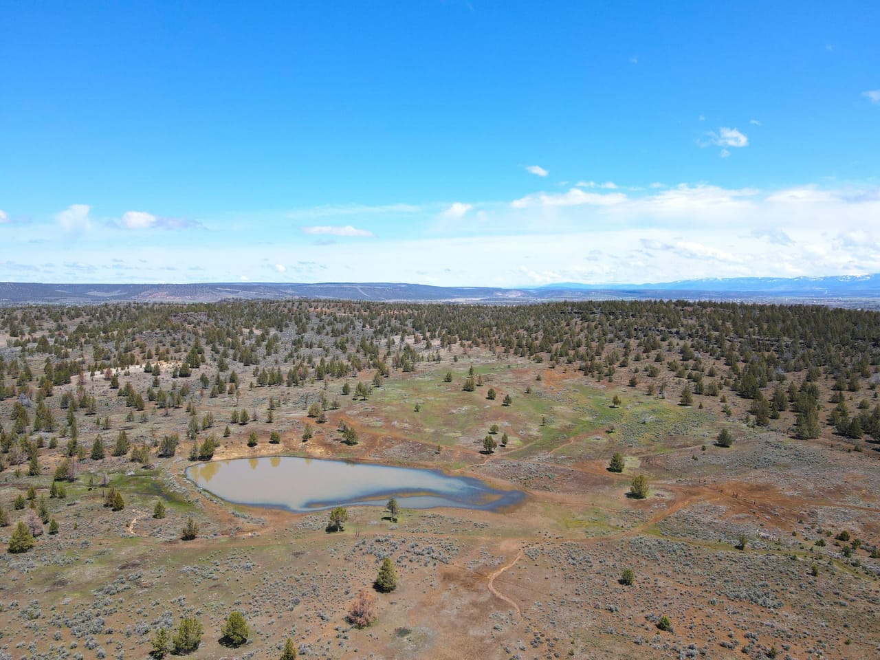 Bidwell Homestead Ranch