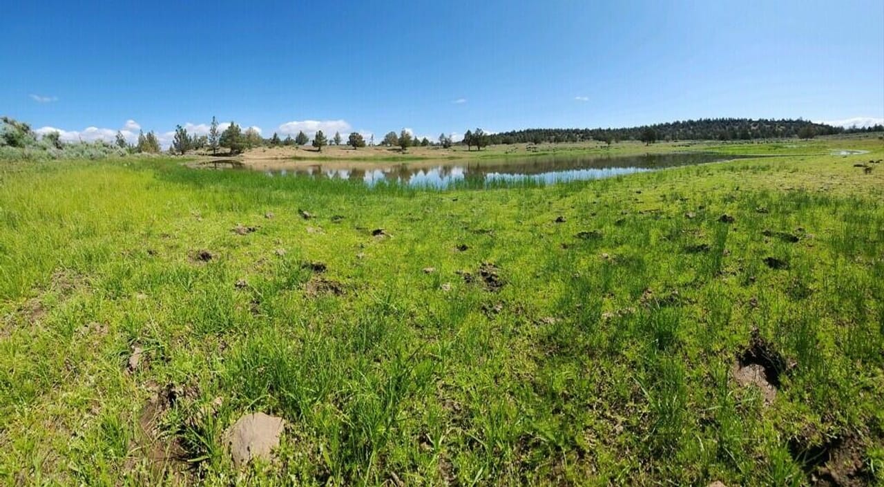 Bidwell Homestead Ranch