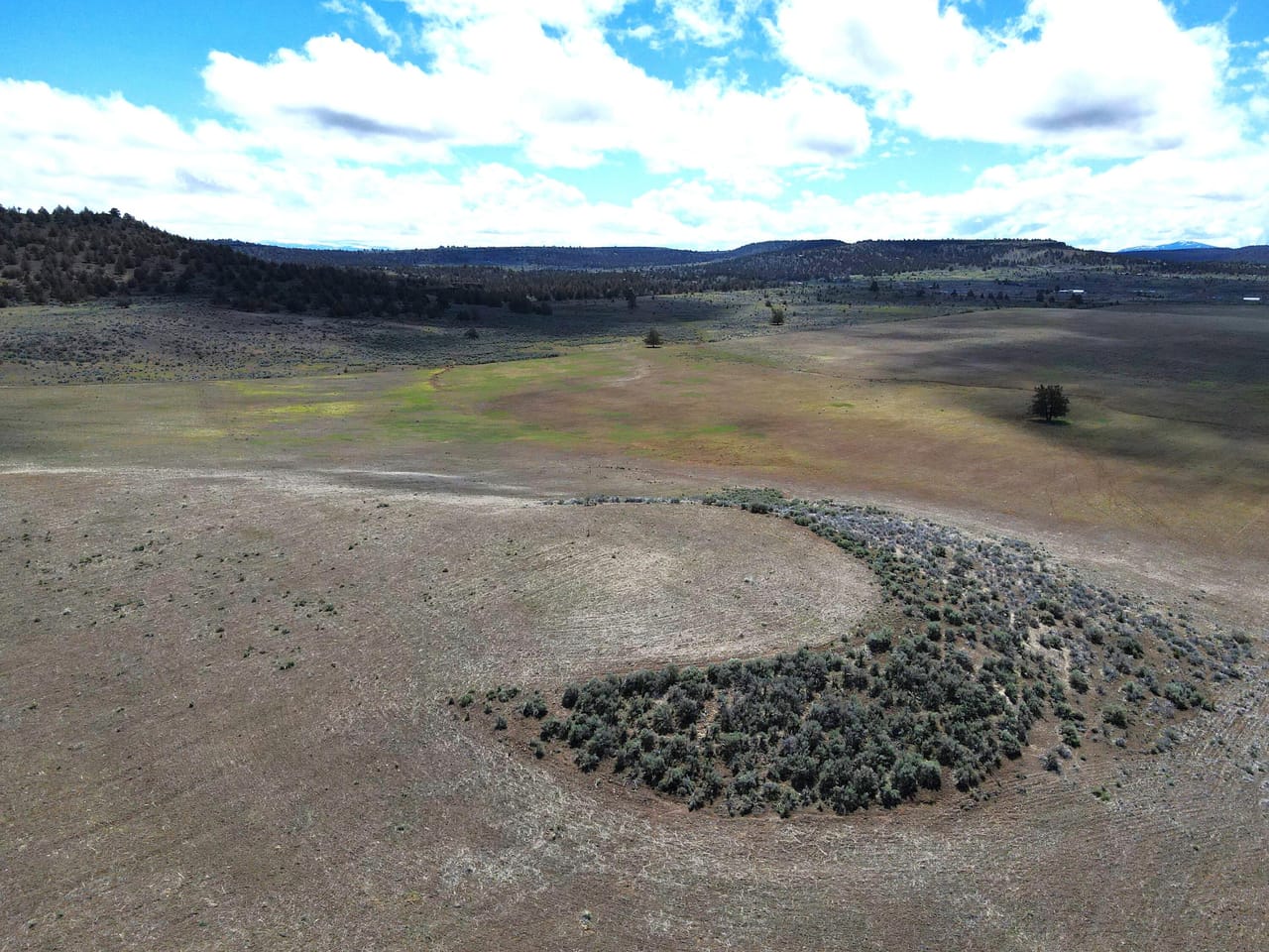 Bidwell Homestead Ranch