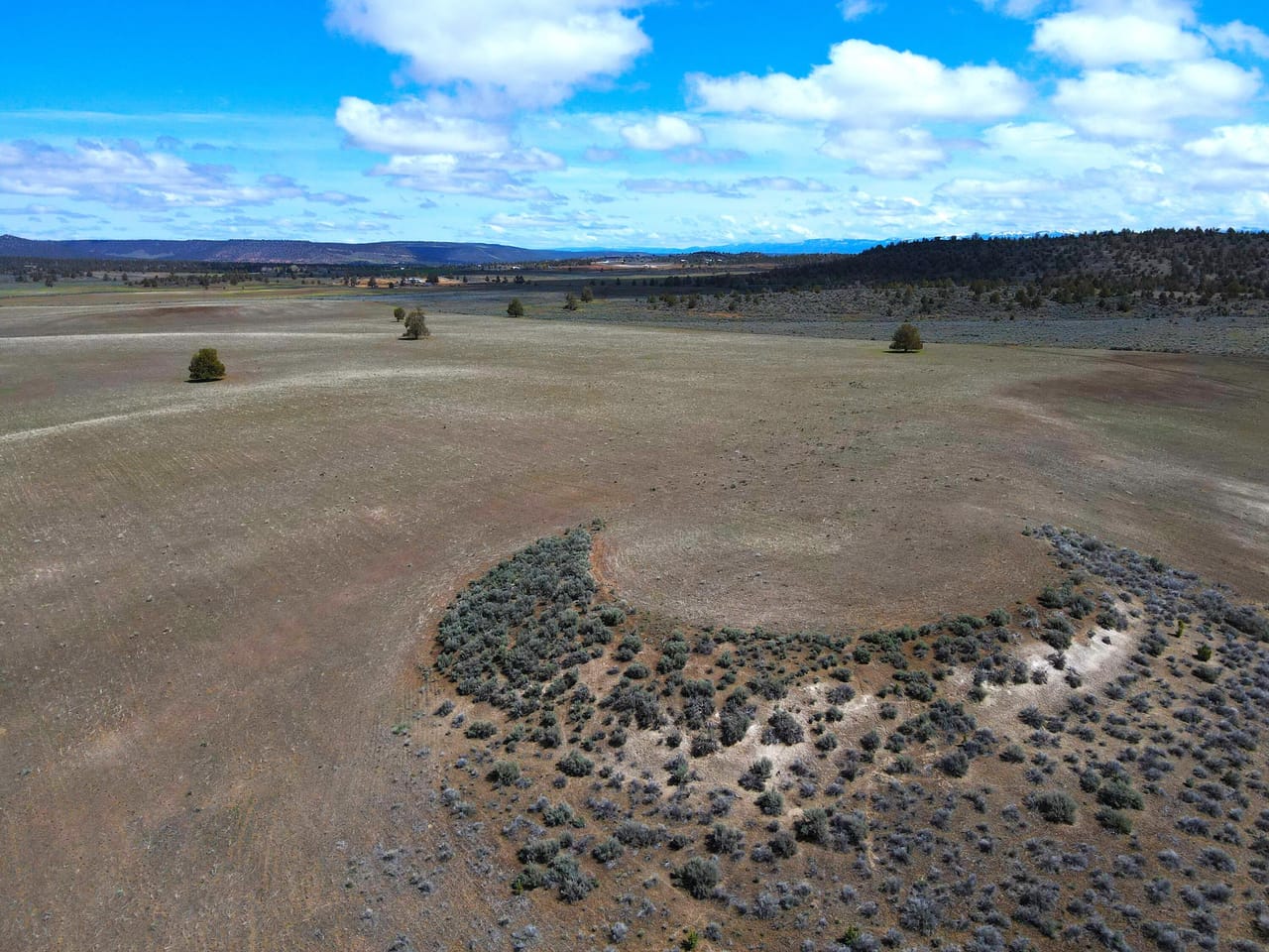 Bidwell Homestead Ranch
