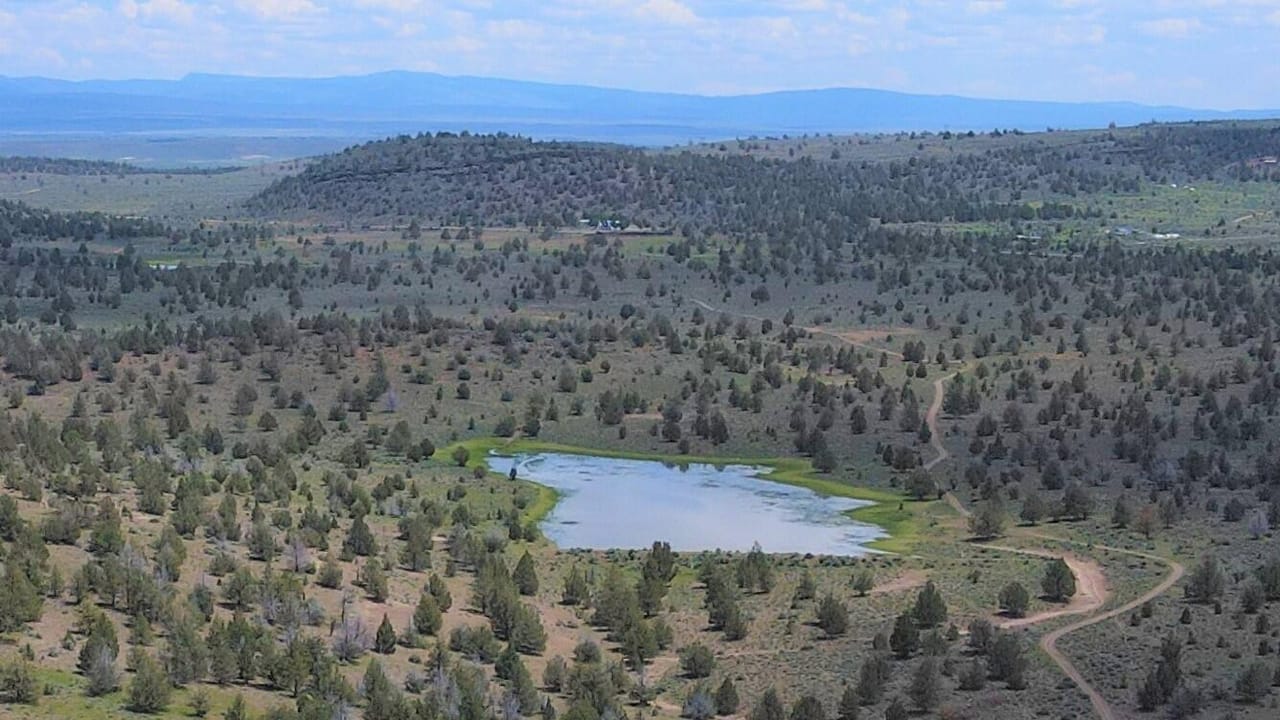 Bidwell Homestead Ranch