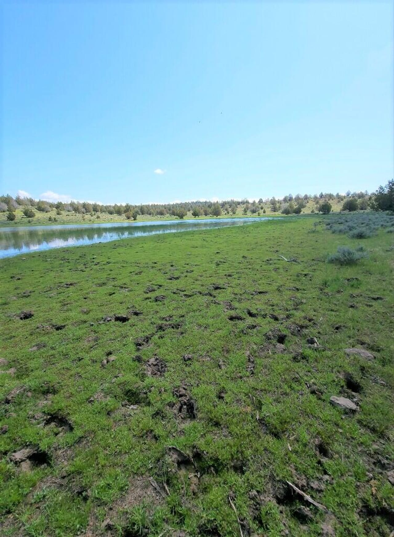 Bidwell Homestead Ranch