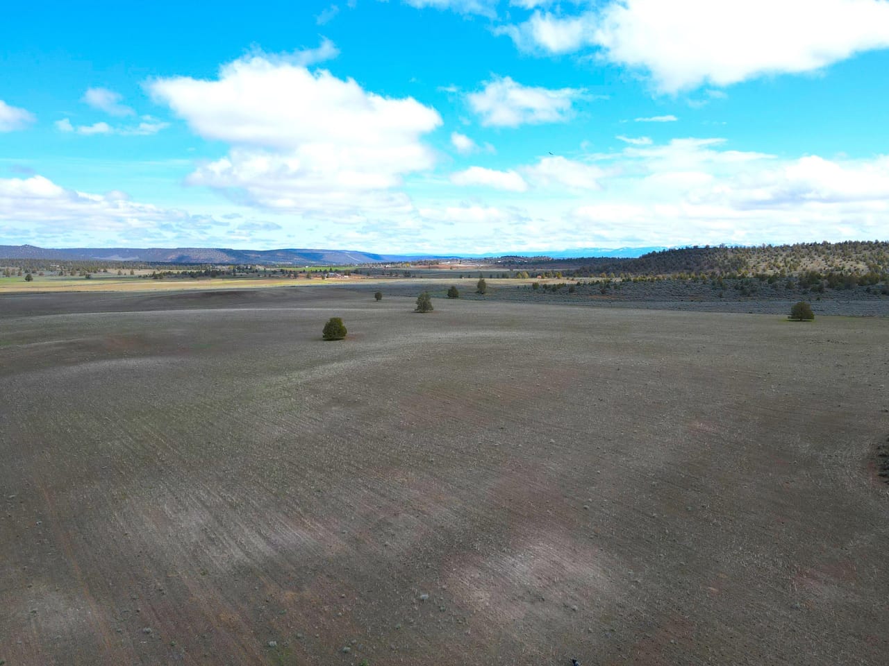 Bidwell Homestead Ranch