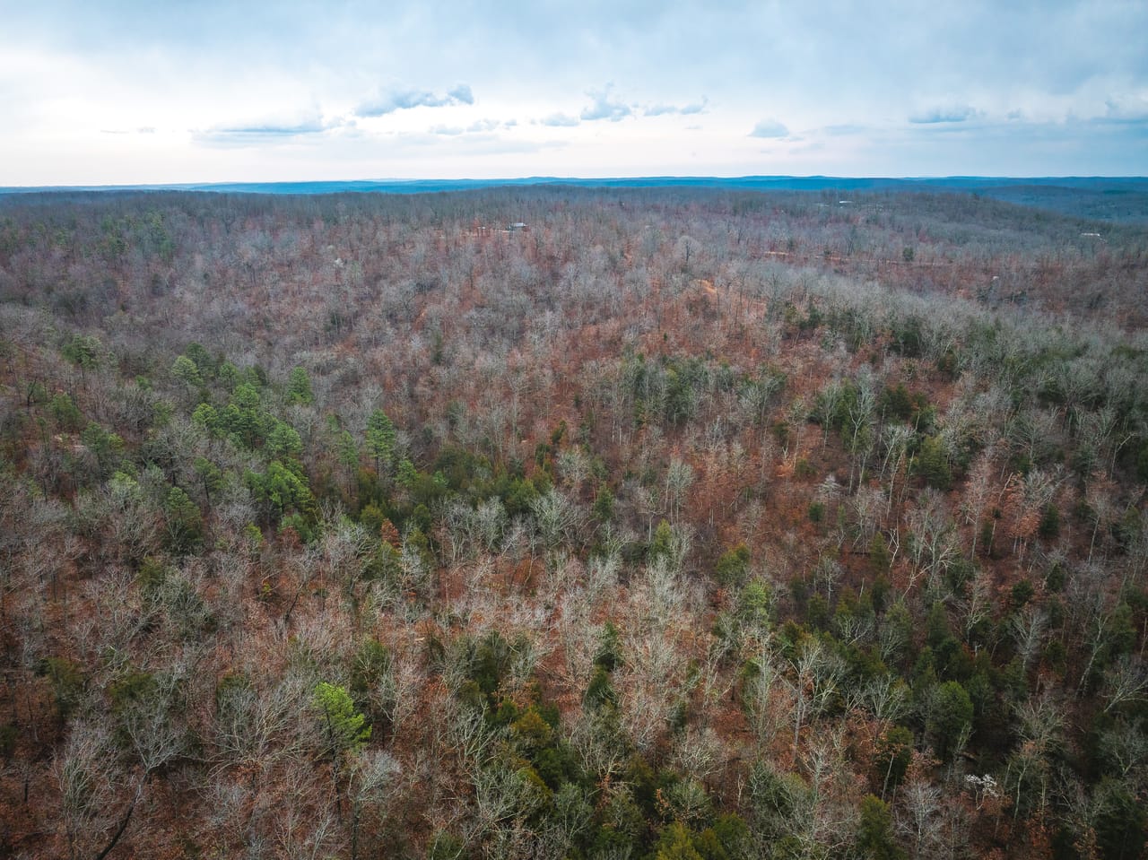 Listing Image 75