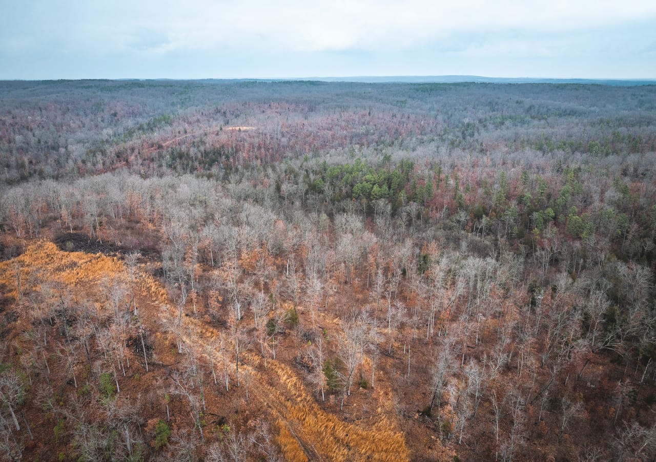 Listing Image 80