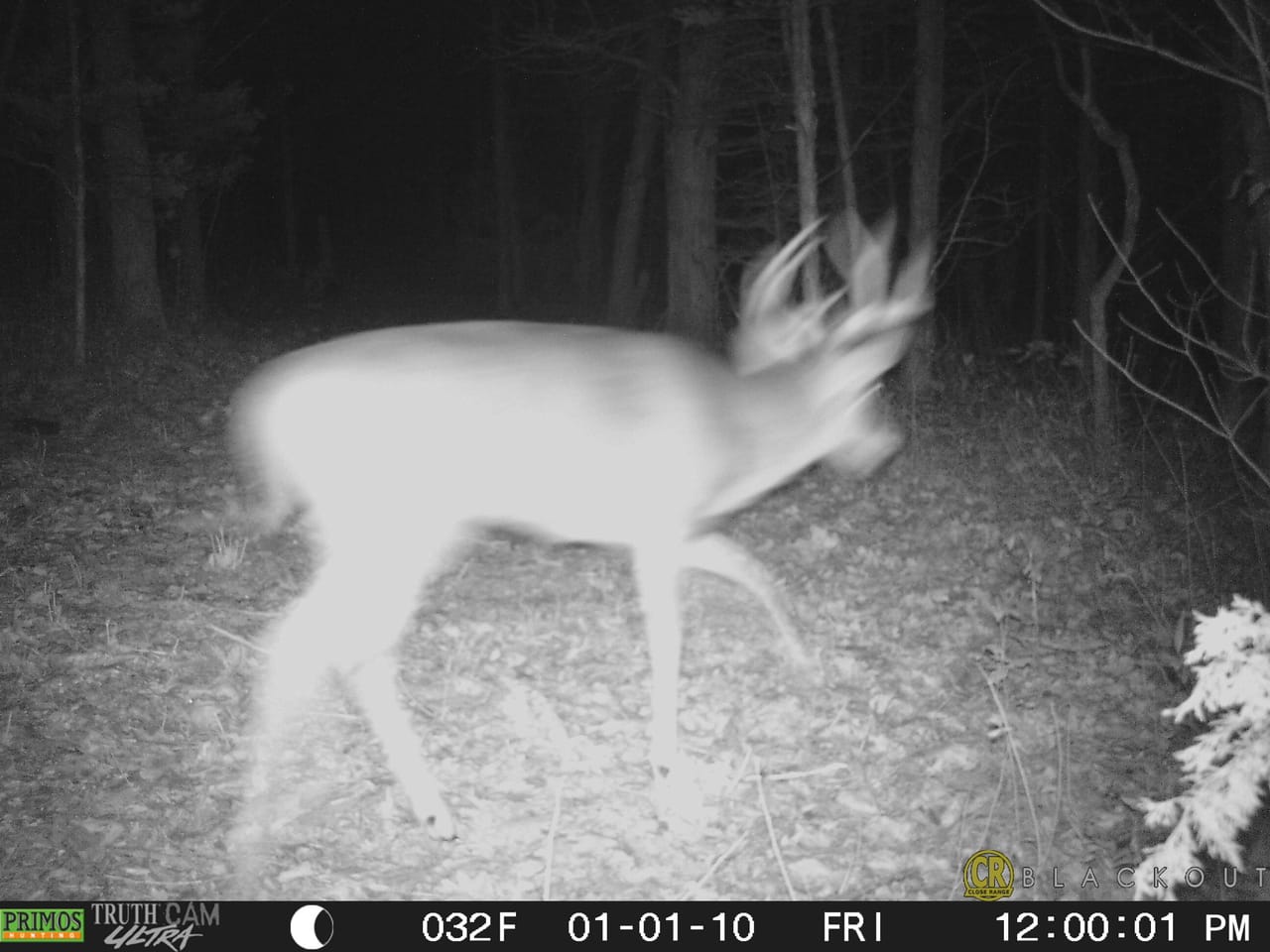 Listing Image 8