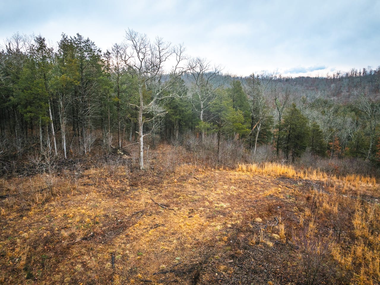 Listing Image 59