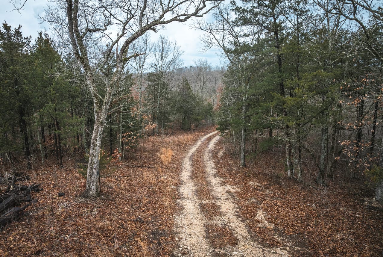 Listing Image 61