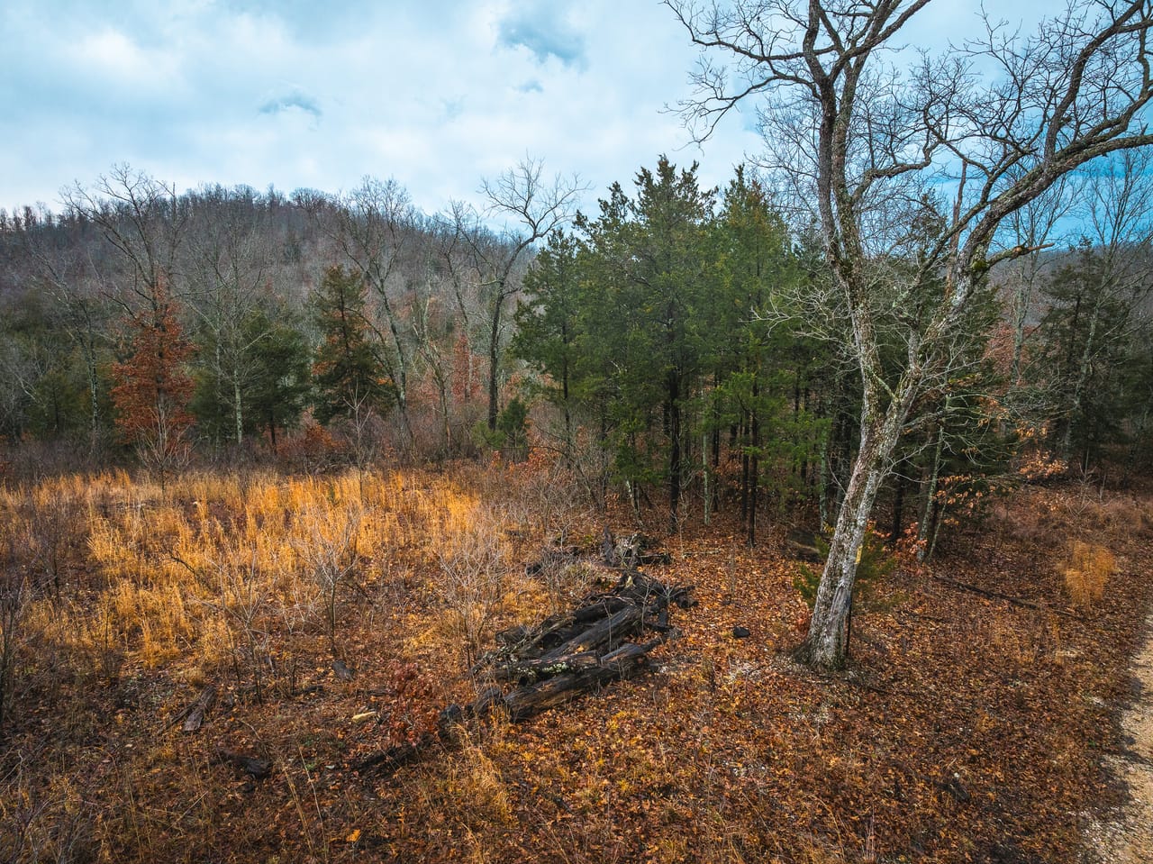 Listing Image 63