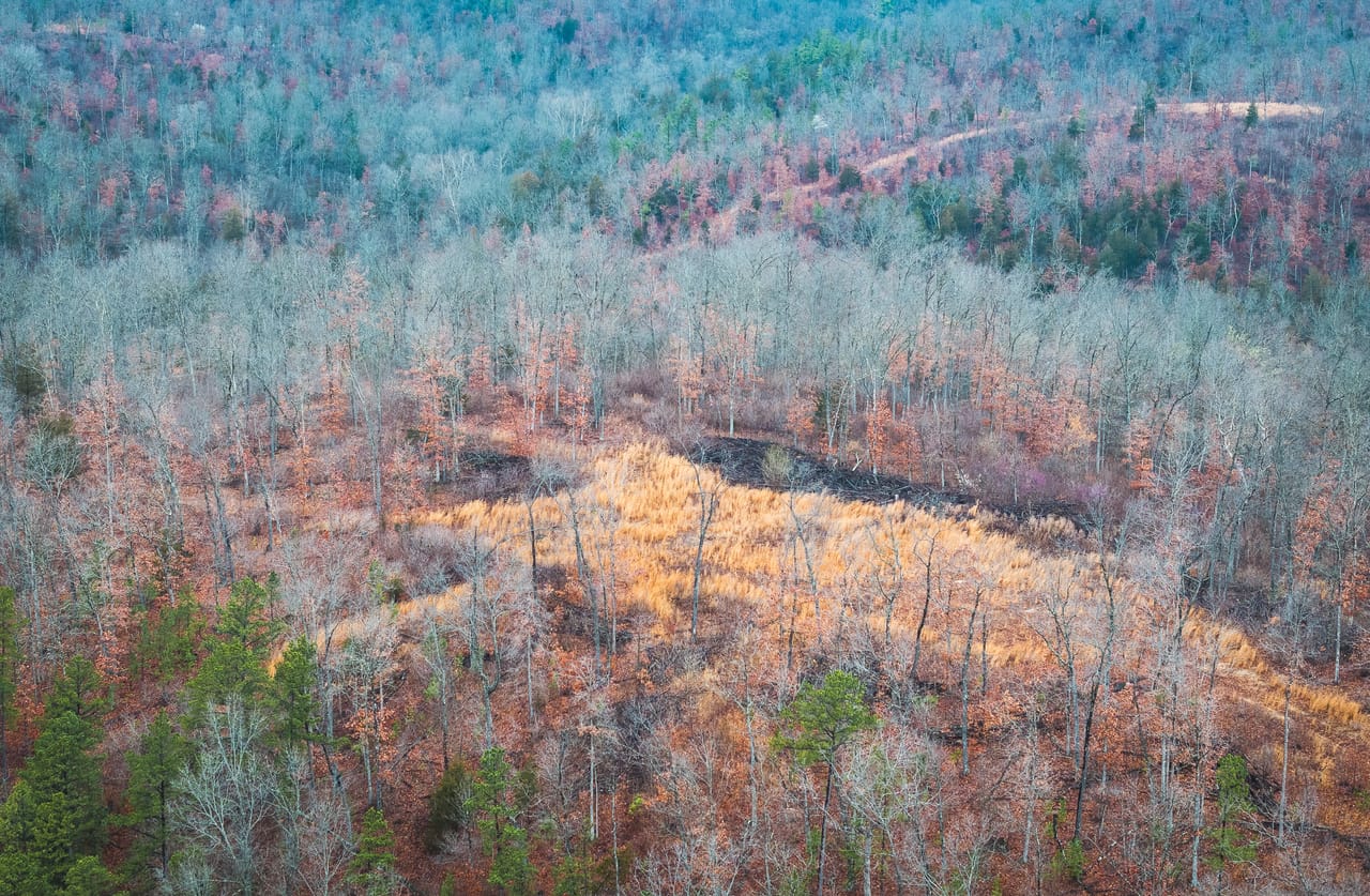 Listing Image 21