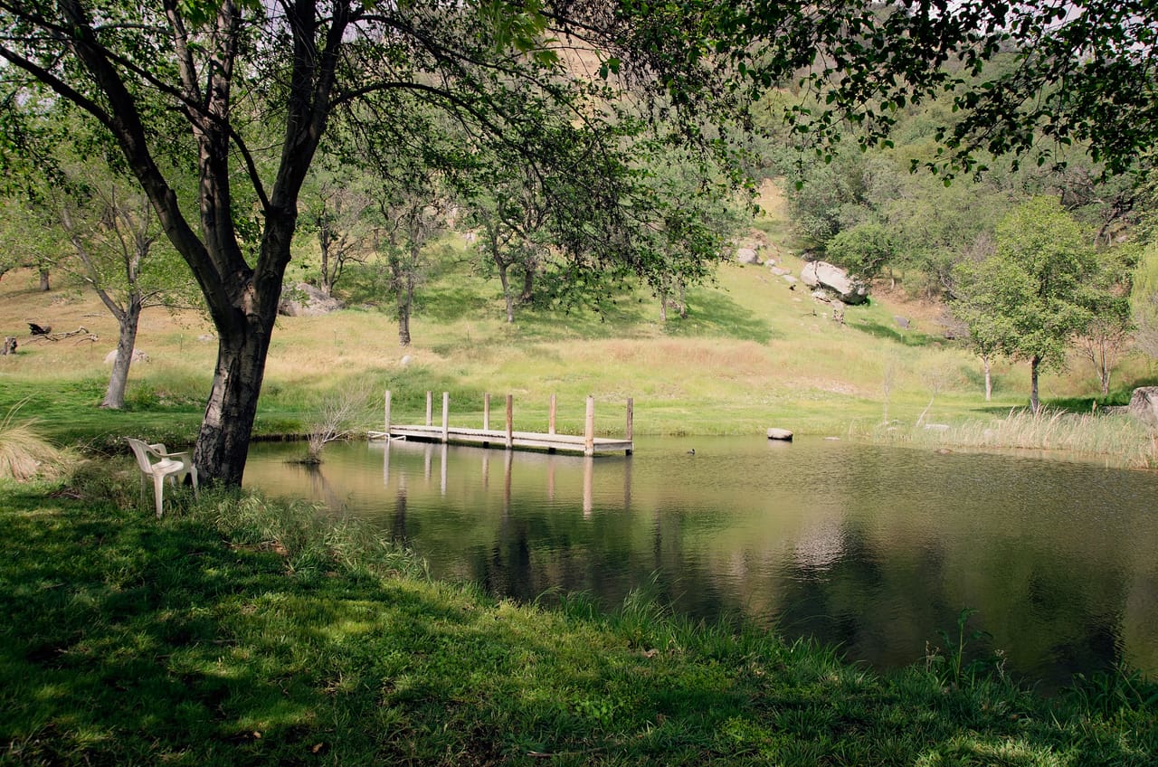 Listing Image 51