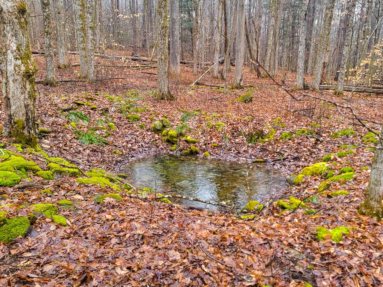 Listing Image 10