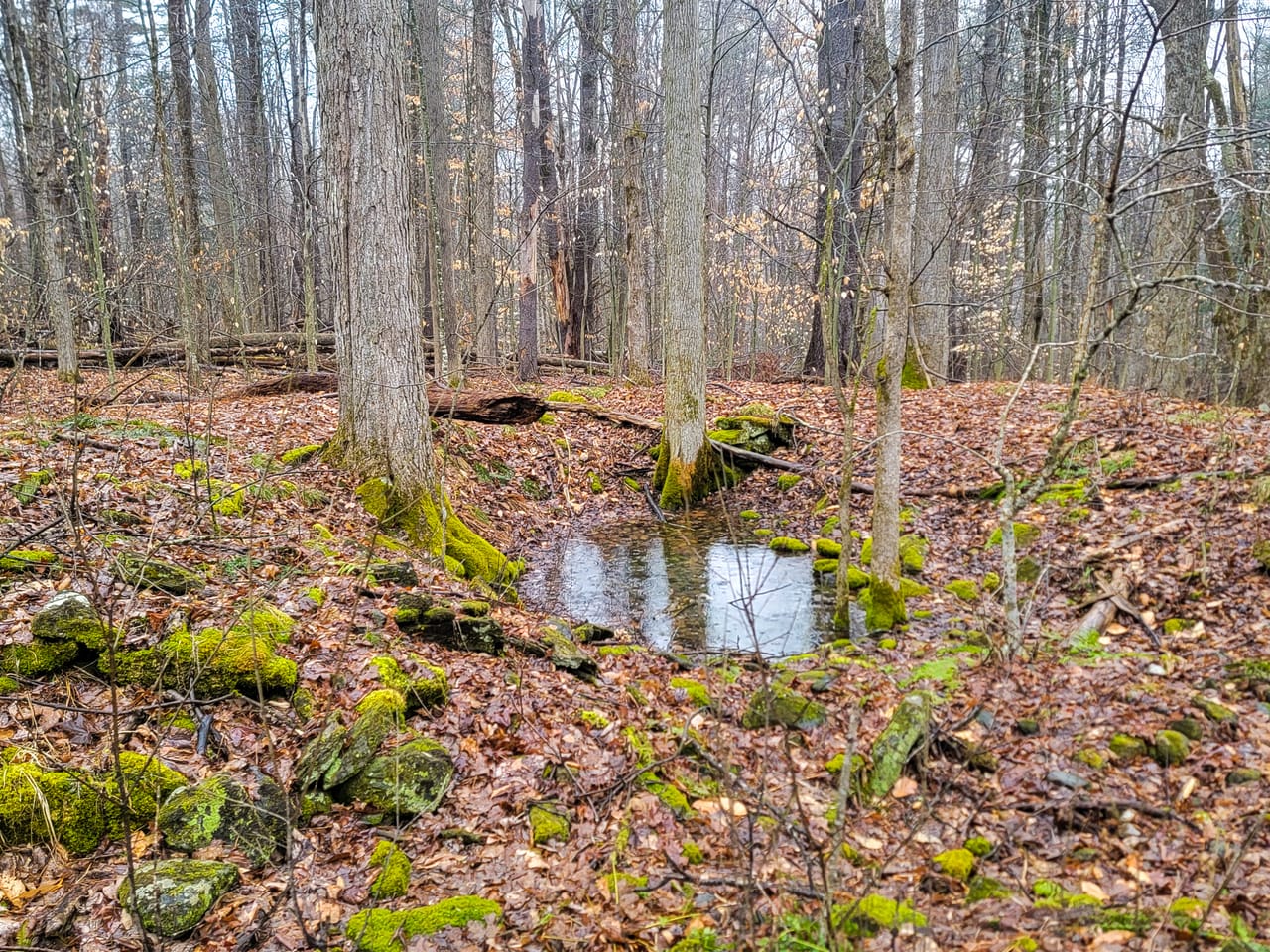 Listing Image 13