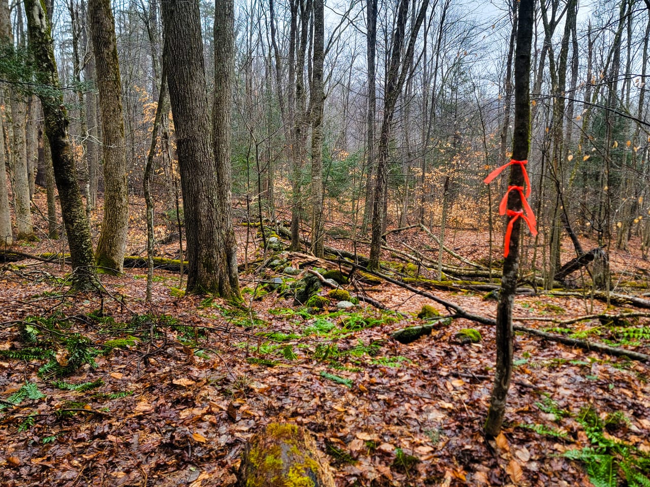 Listing Image 16
