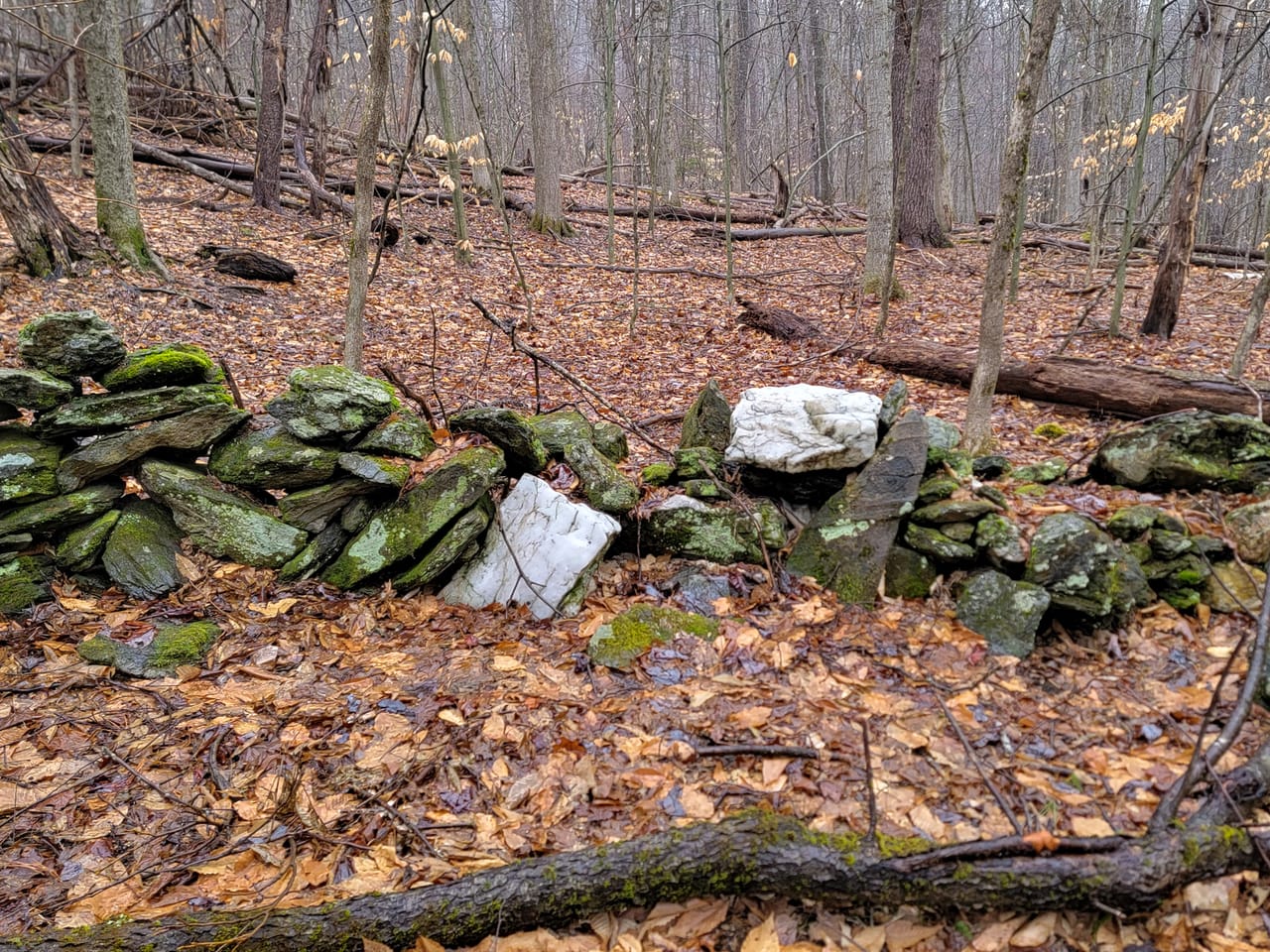 Listing Image 18