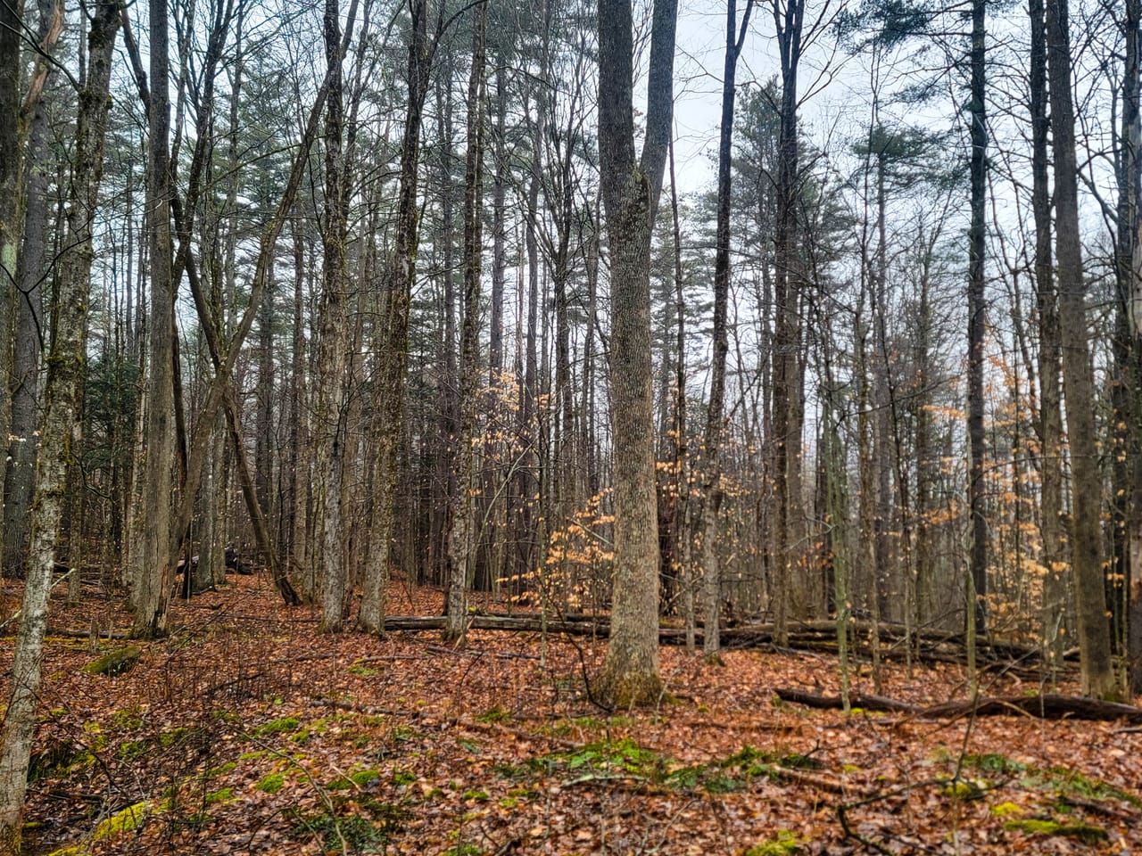 Listing Image 31
