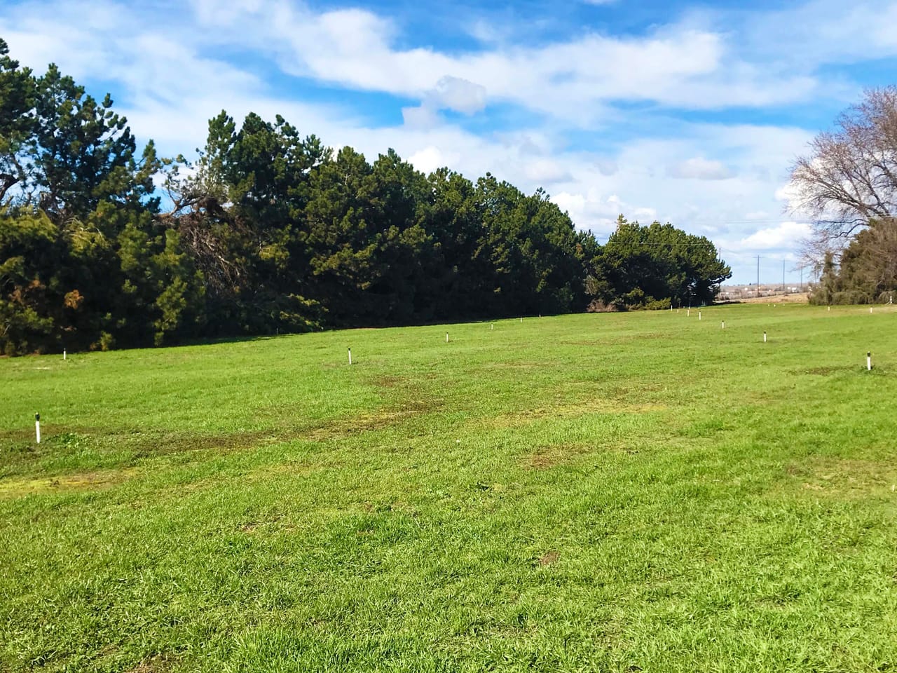 312 +/- Acres Buchanan Farm