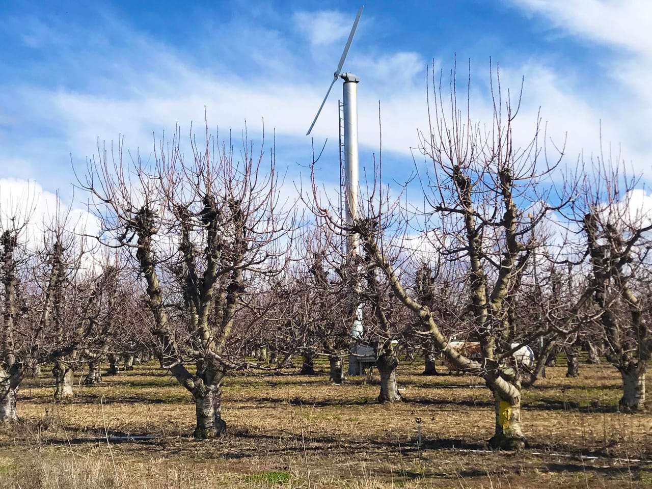 312 +/- Acres Buchanan Farm