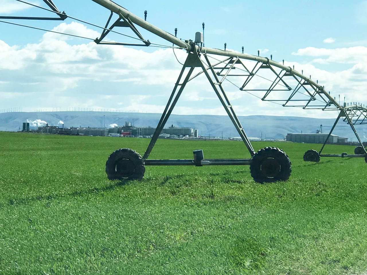 312 +/- Acres Buchanan Farm