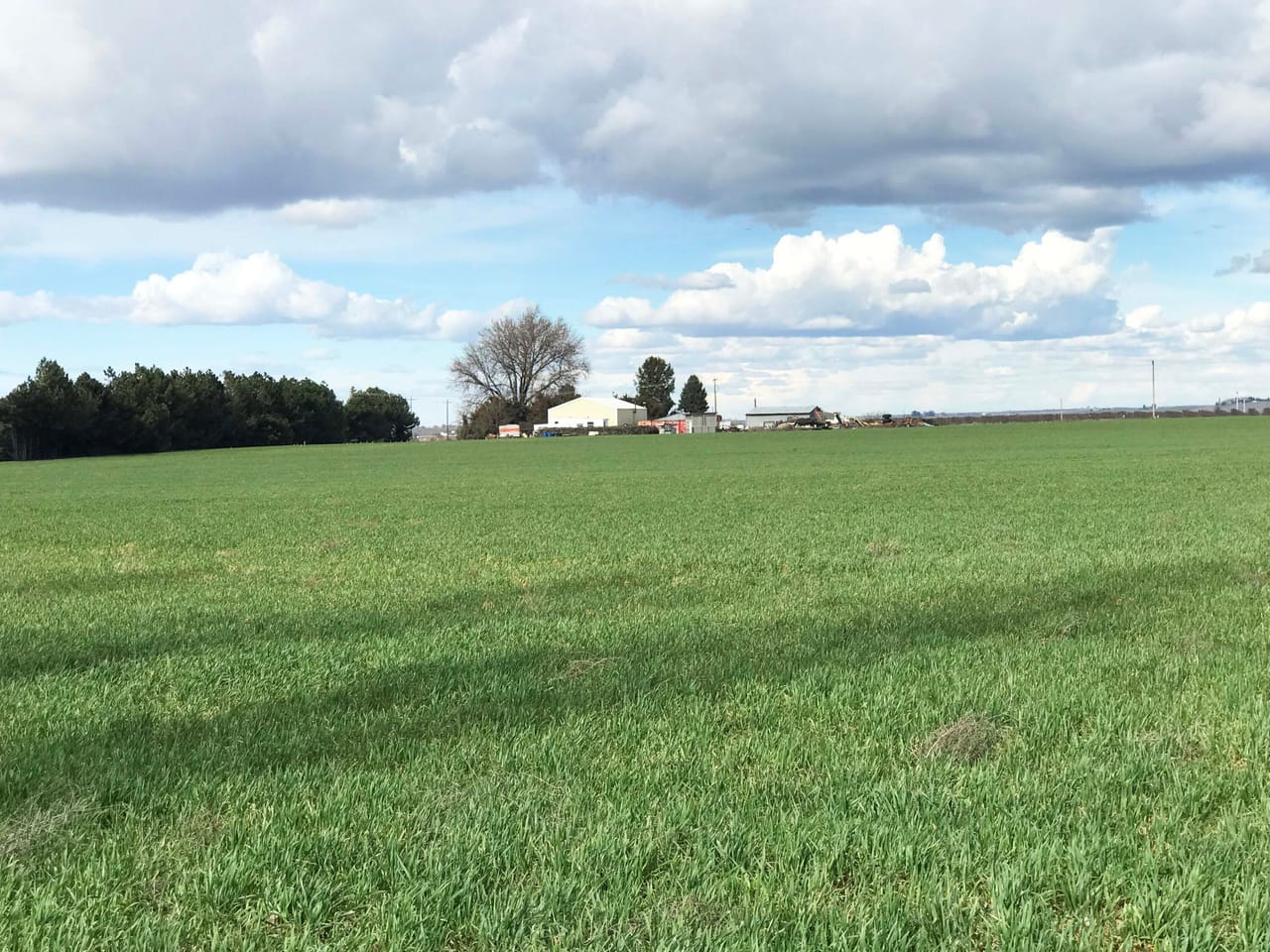 312 +/- Acres Buchanan Farm
