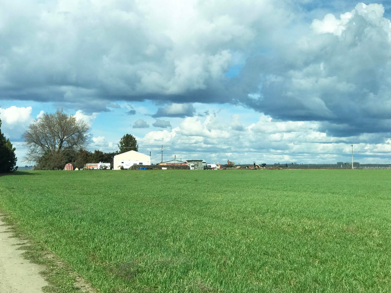 312 +/- Acres Buchanan Farm