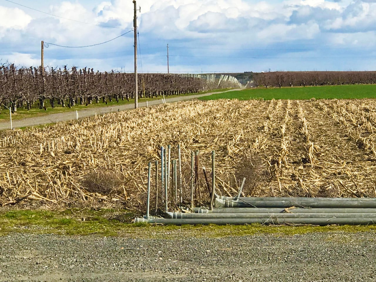 312 +/- Acres Buchanan Farm