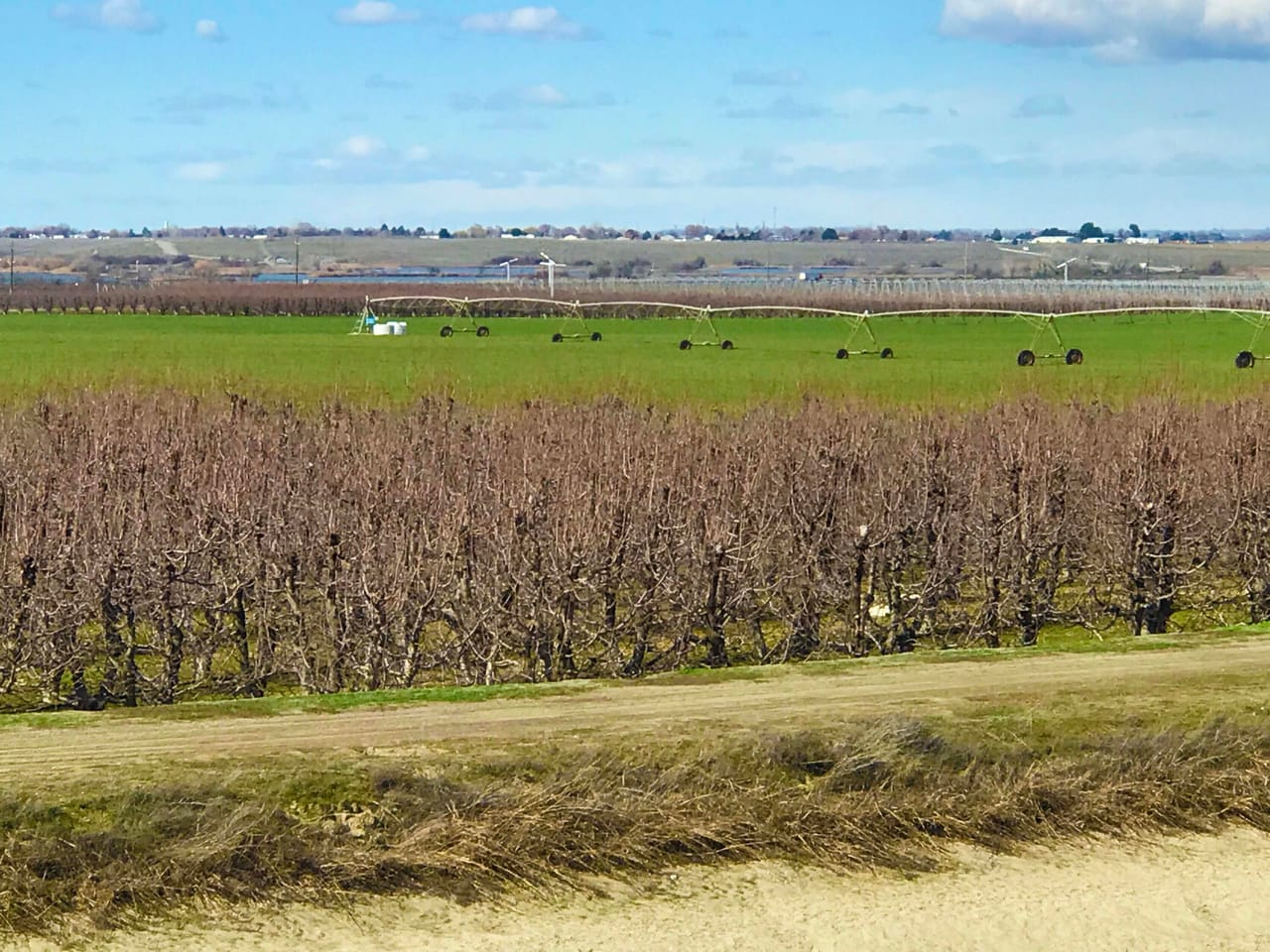 312 +/- Acres Buchanan Farm